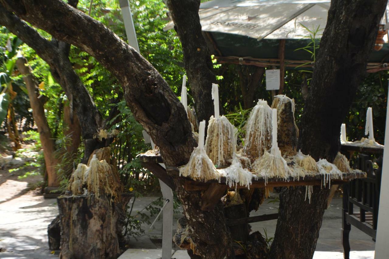 Triniti Oysterbay Ξενοδοχείο Νταρ ες Σαλάμ Εξωτερικό φωτογραφία